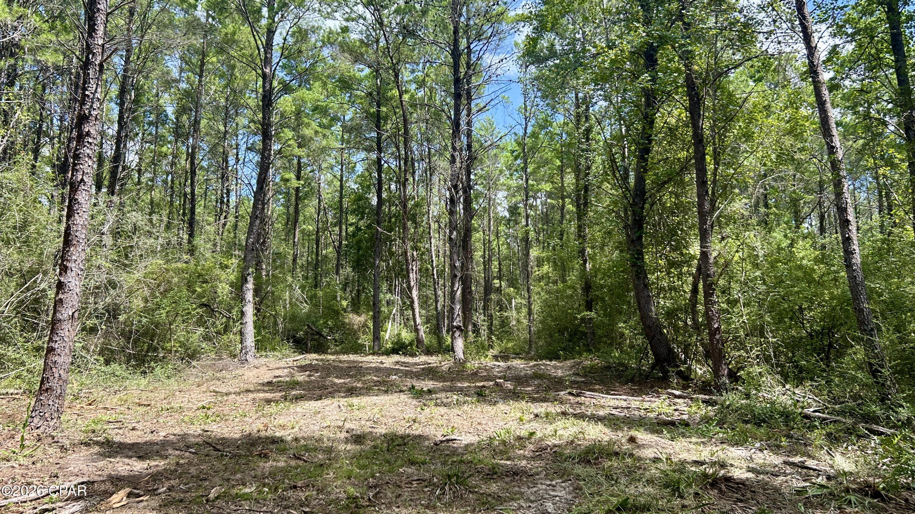 A Trawick Creek Road Holt FL 32564
