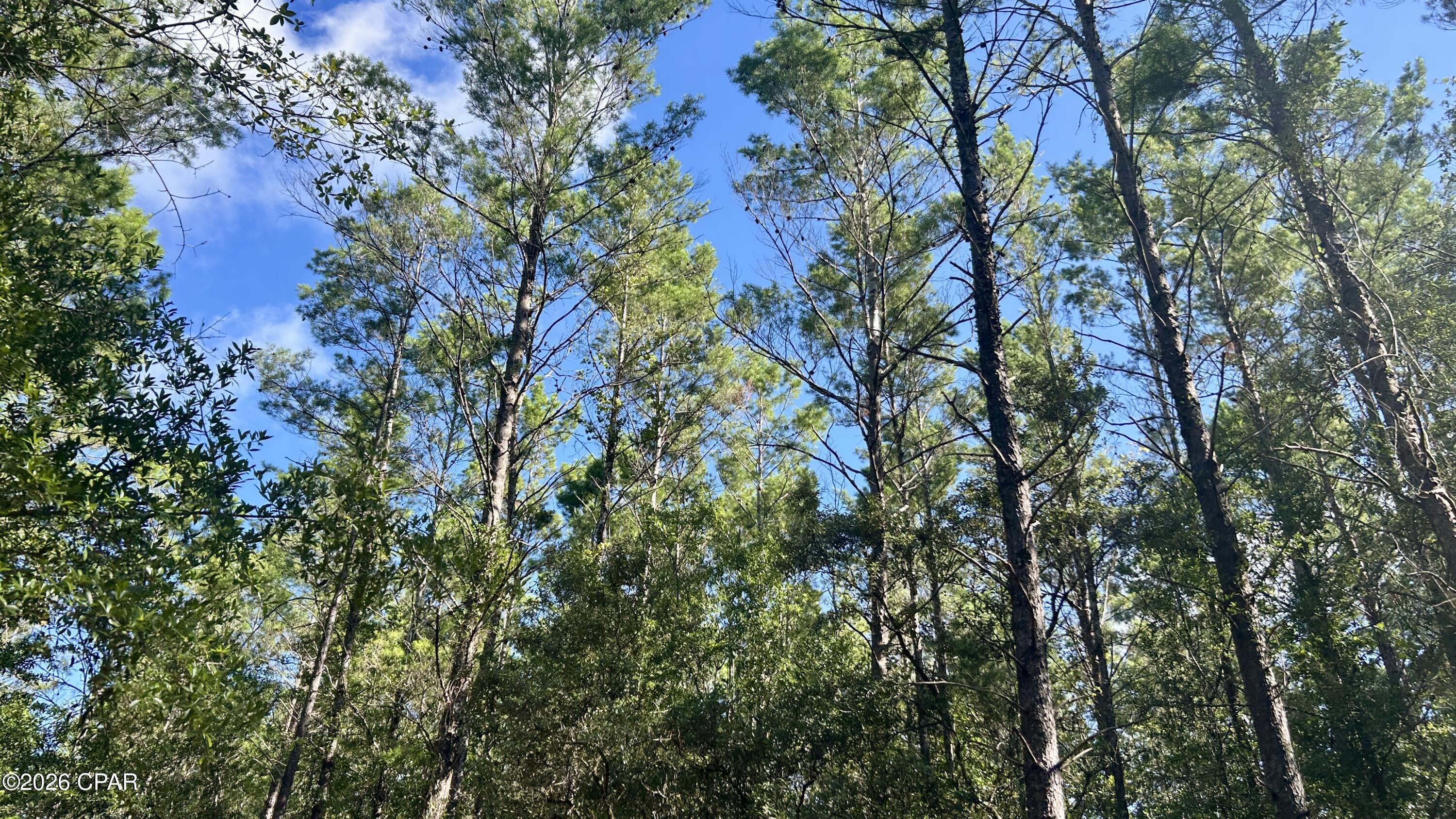 A Trawick Creek Road Holt FL 32564