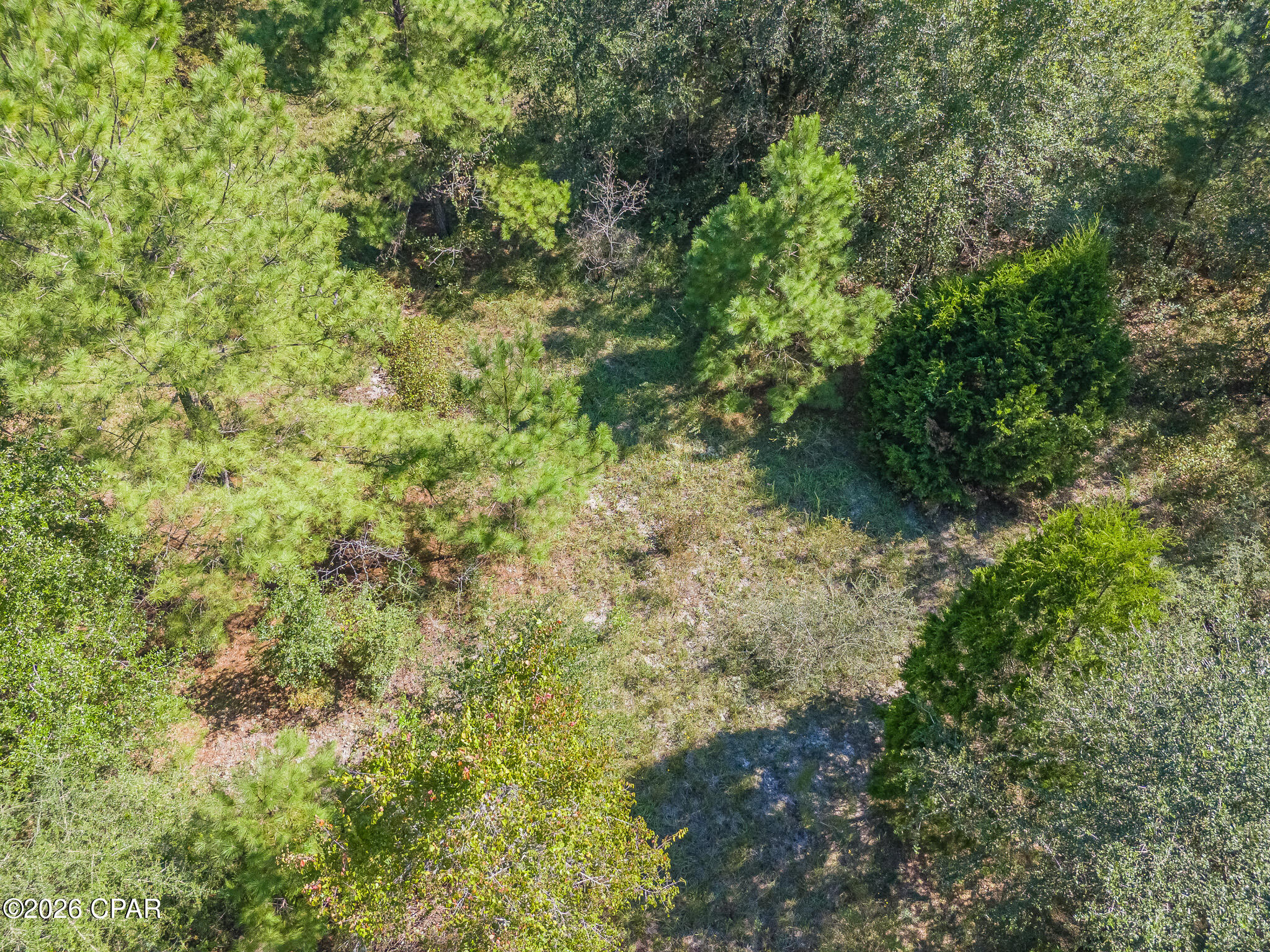 0 Jimmy Helms Drive Wewahitchka FL 32465