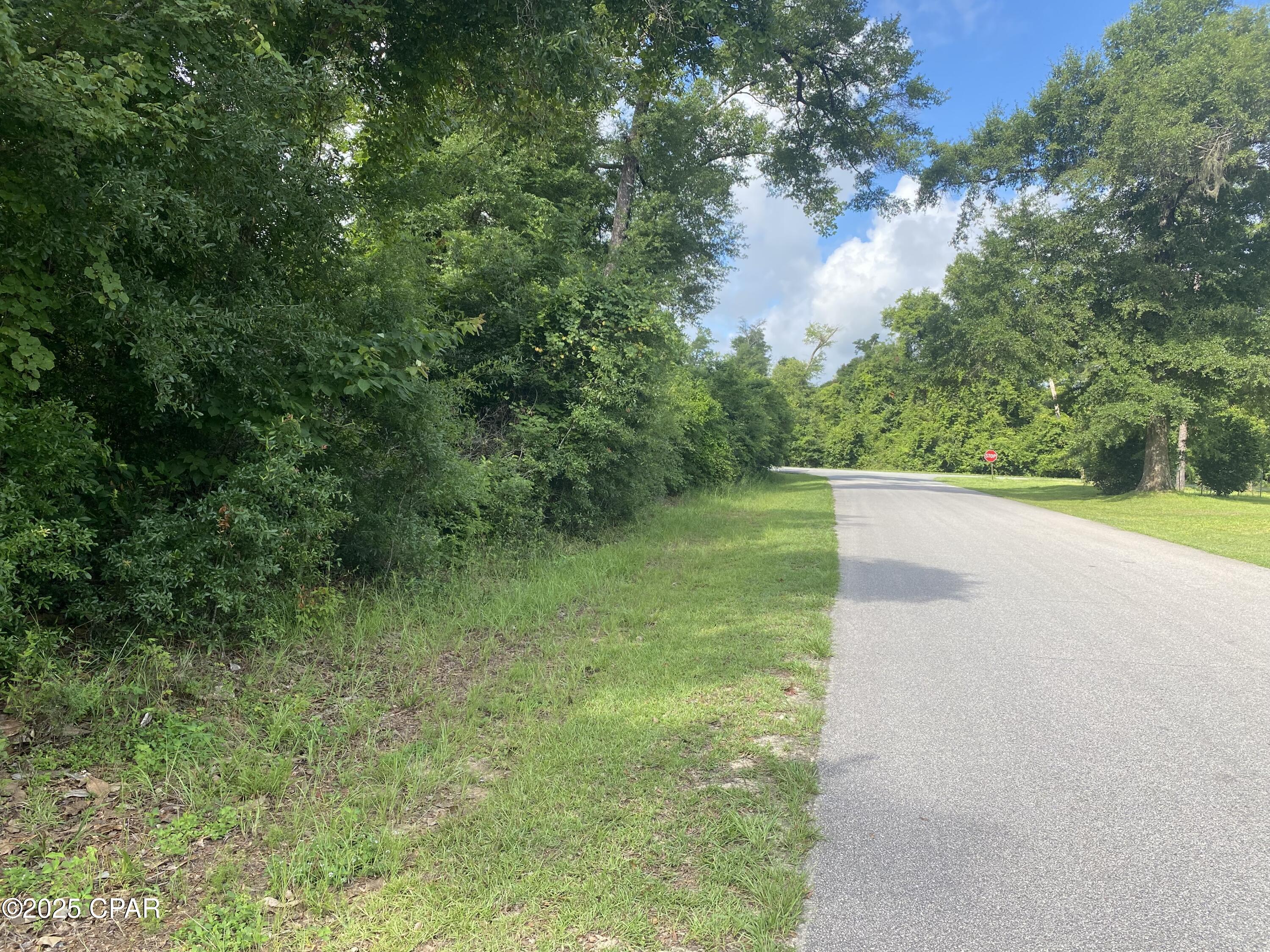 0000 Oak Drive Marianna FL 32446