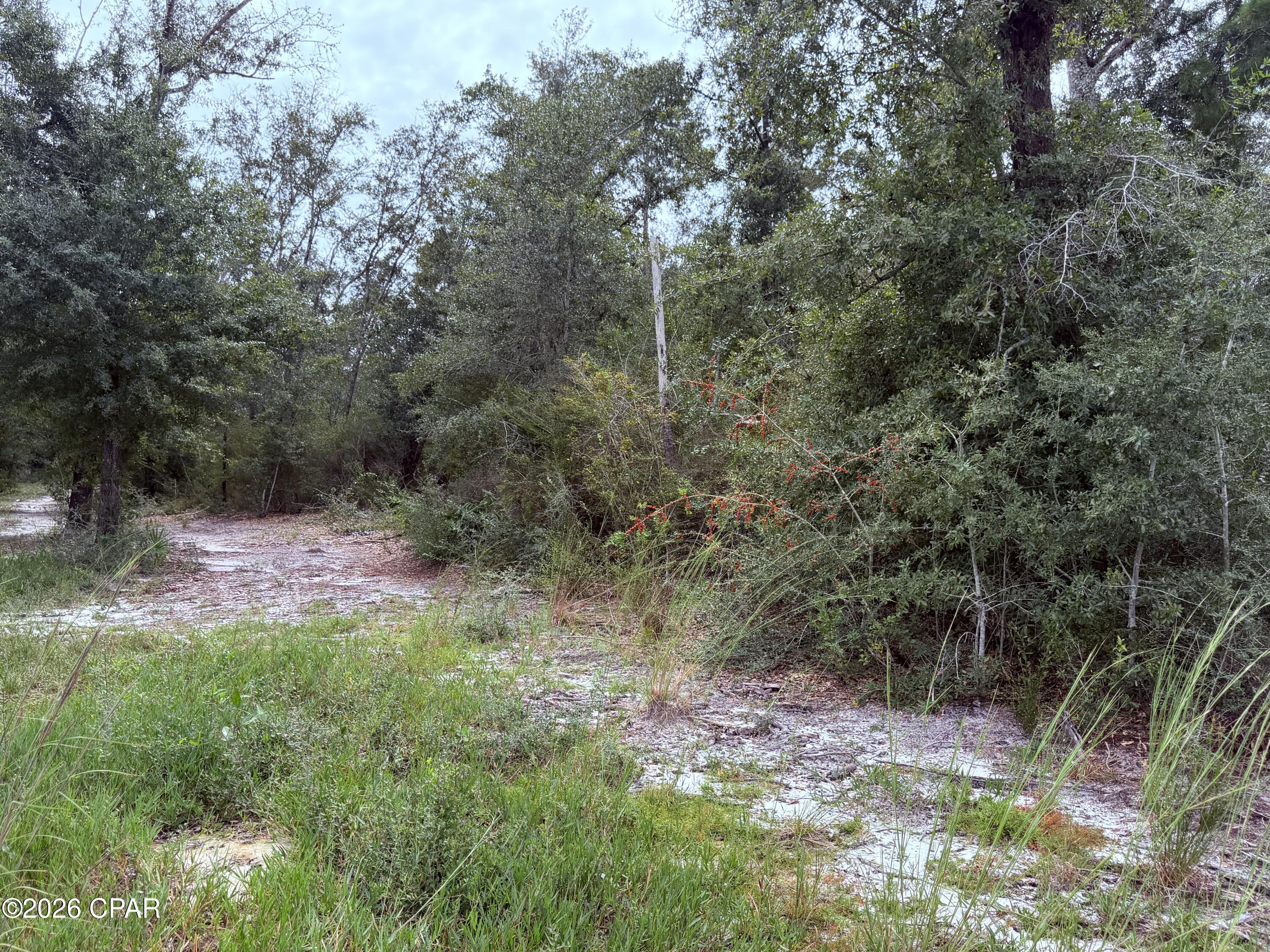 171 Lake Merial Boulevard Southport FL 32409