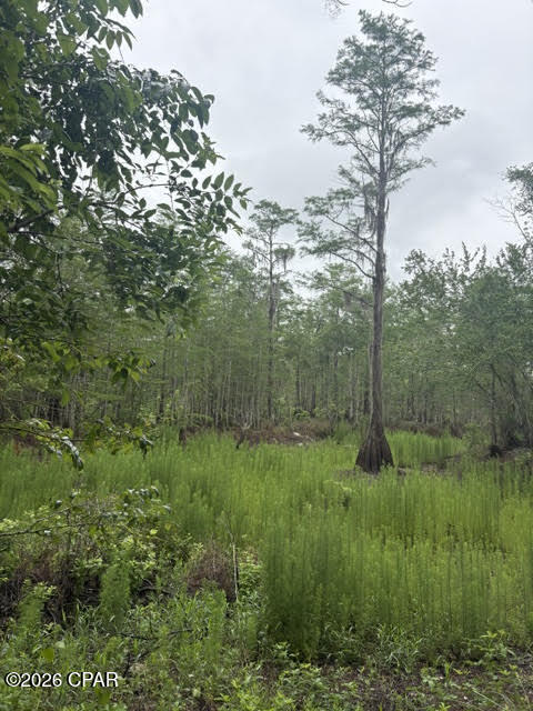 2435 Douglas Pond Road Marianna FL 32446