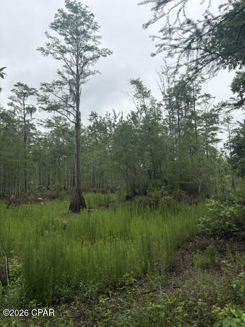 2435 Douglas Pond Road Marianna FL 32446