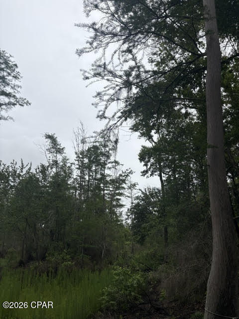 2435 Douglas Pond Road Marianna FL 32446