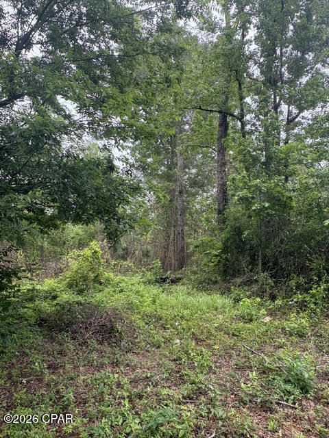 2435 Douglas Pond Road Marianna FL 32446