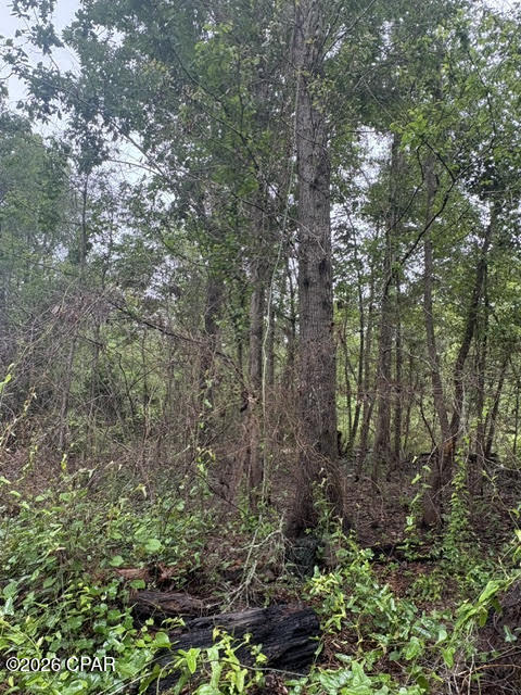 2435 Douglas Pond Road Marianna FL 32446