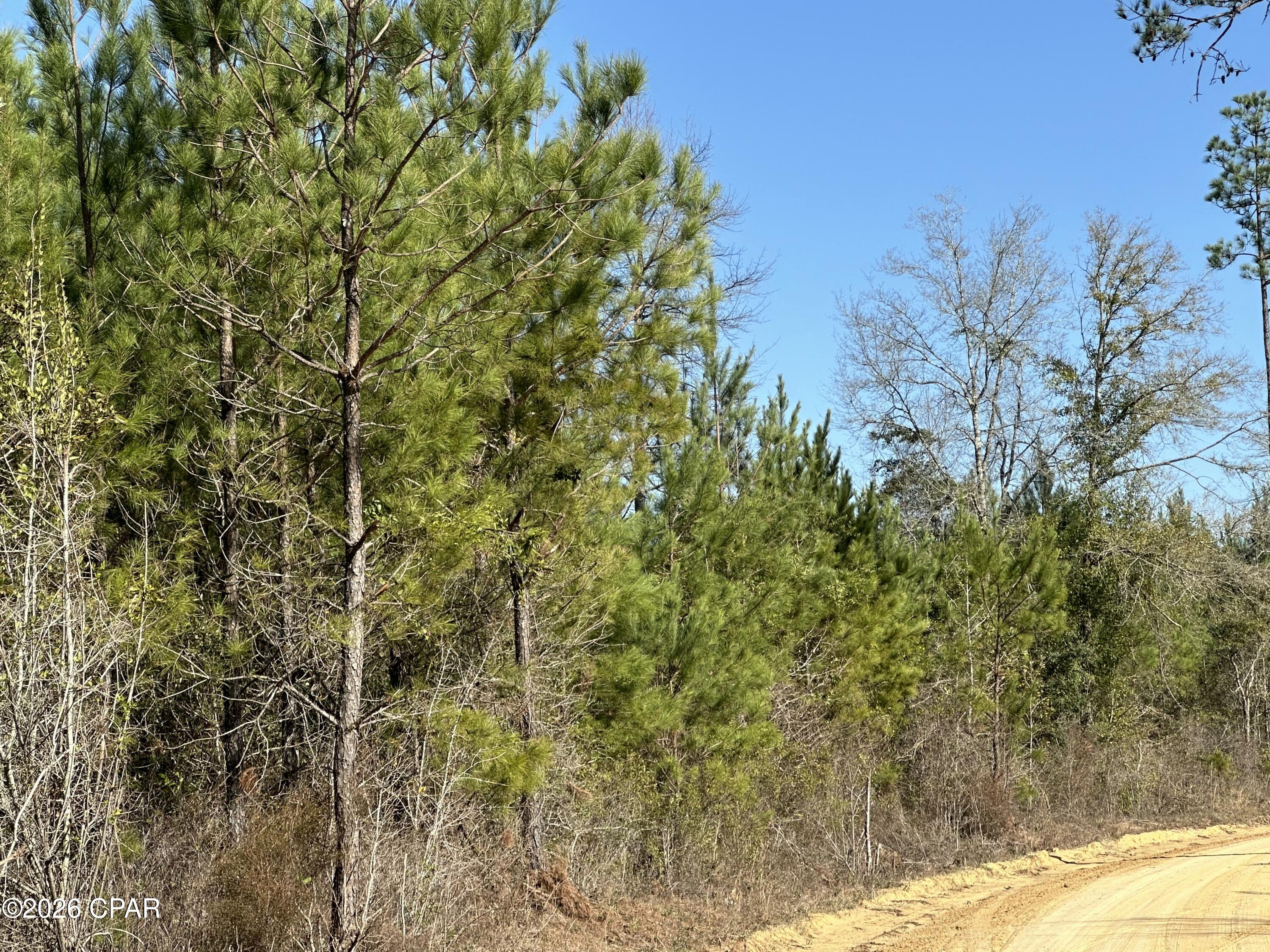 TRACT#6317 N Harris Stevenson Road Bonifay FL 32425