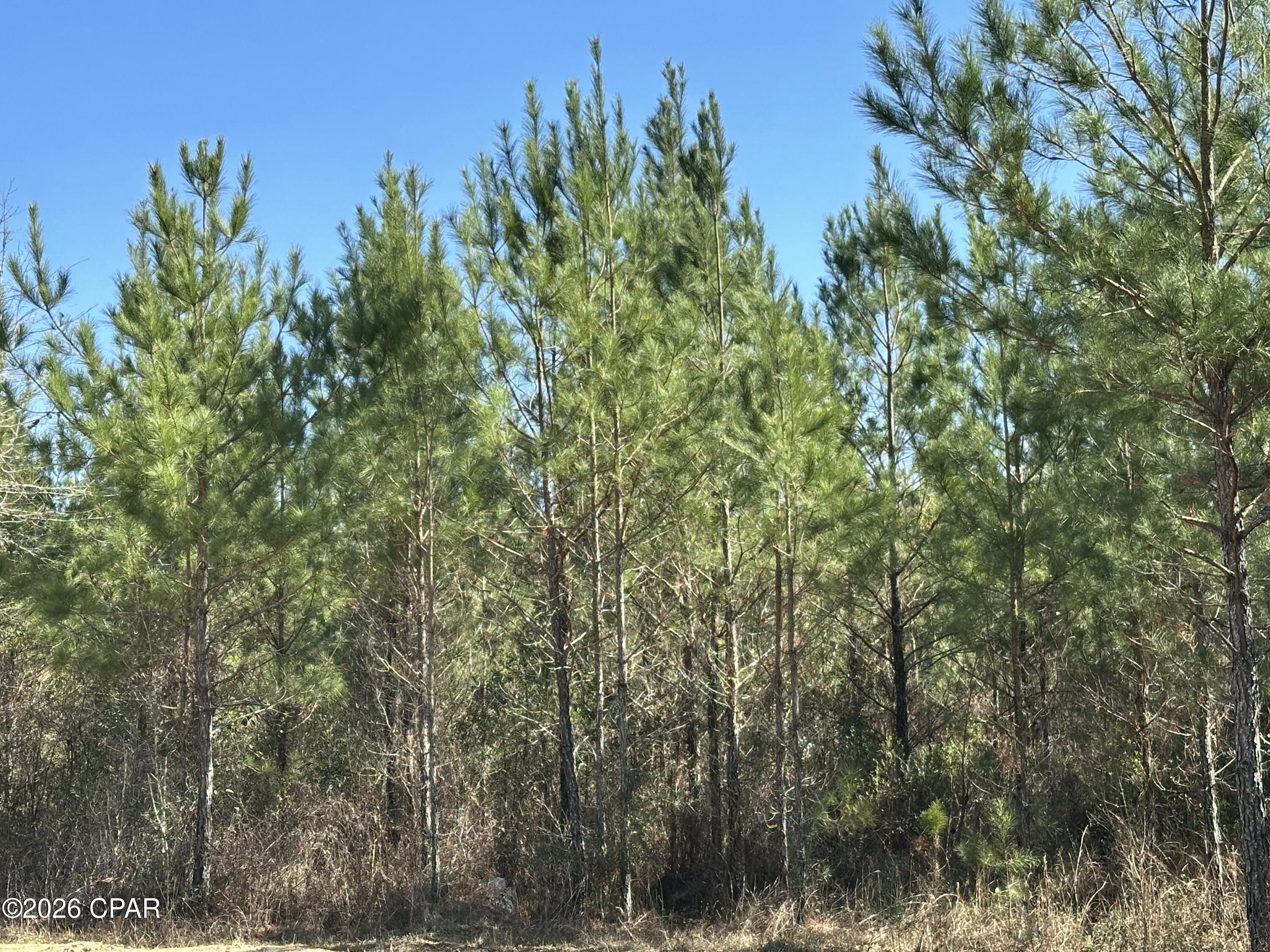 TRACT#6317 N Harris Stevenson Road Bonifay FL 32425