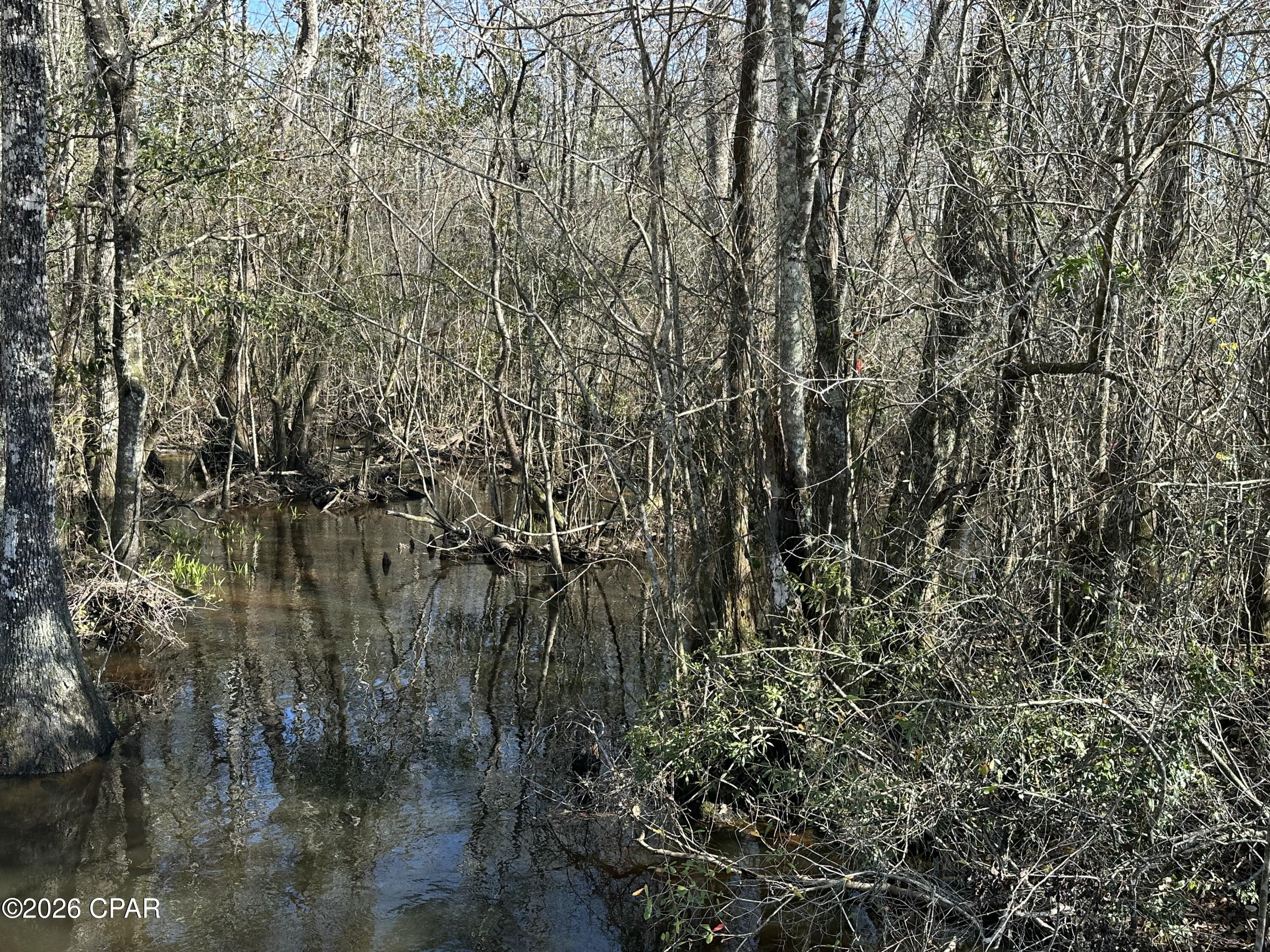 TRACT#6317 N Harris Stevenson Road Bonifay FL 32425