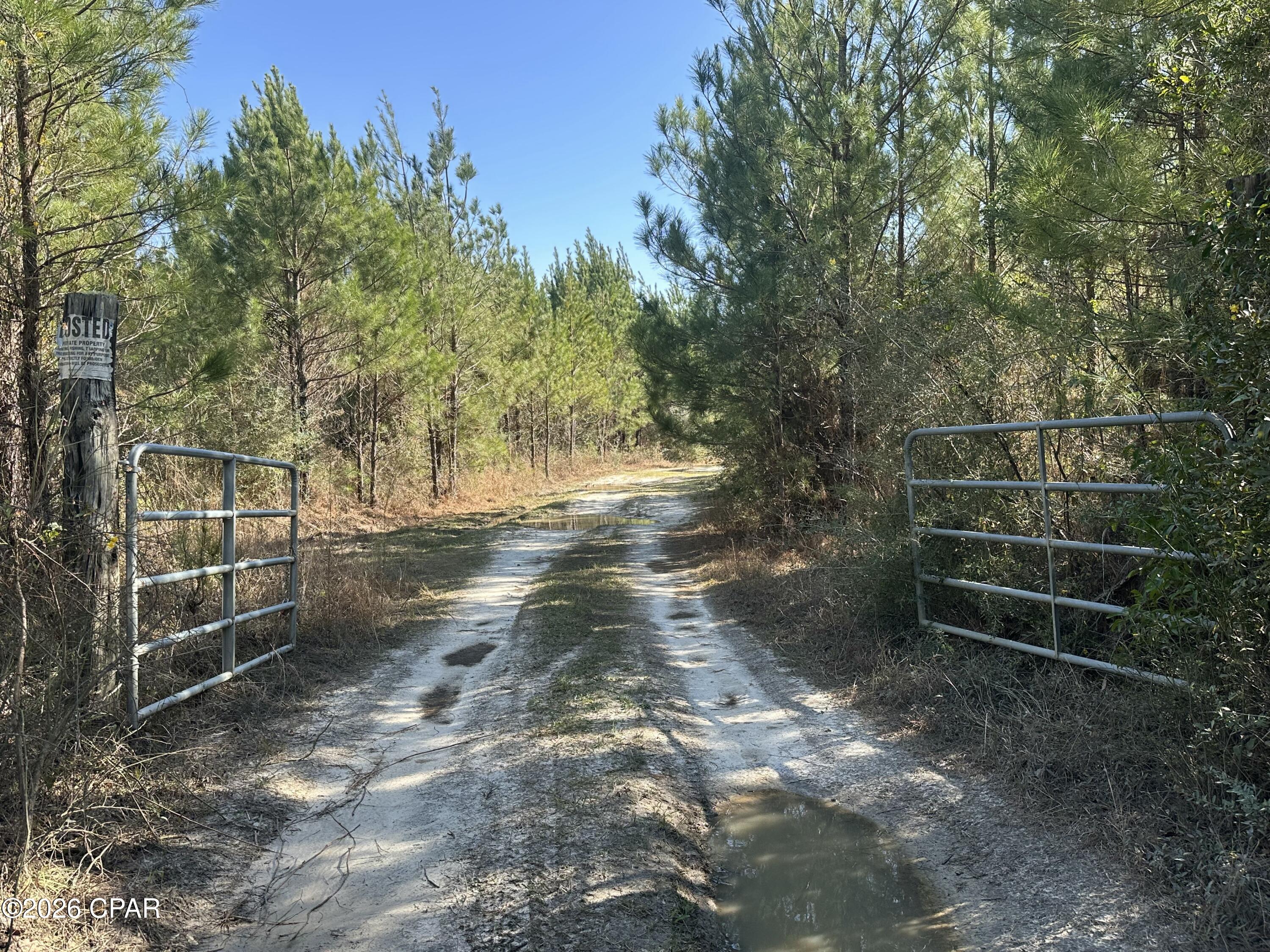 TRACT#6317 N Harris Stevenson Road Bonifay FL 32425