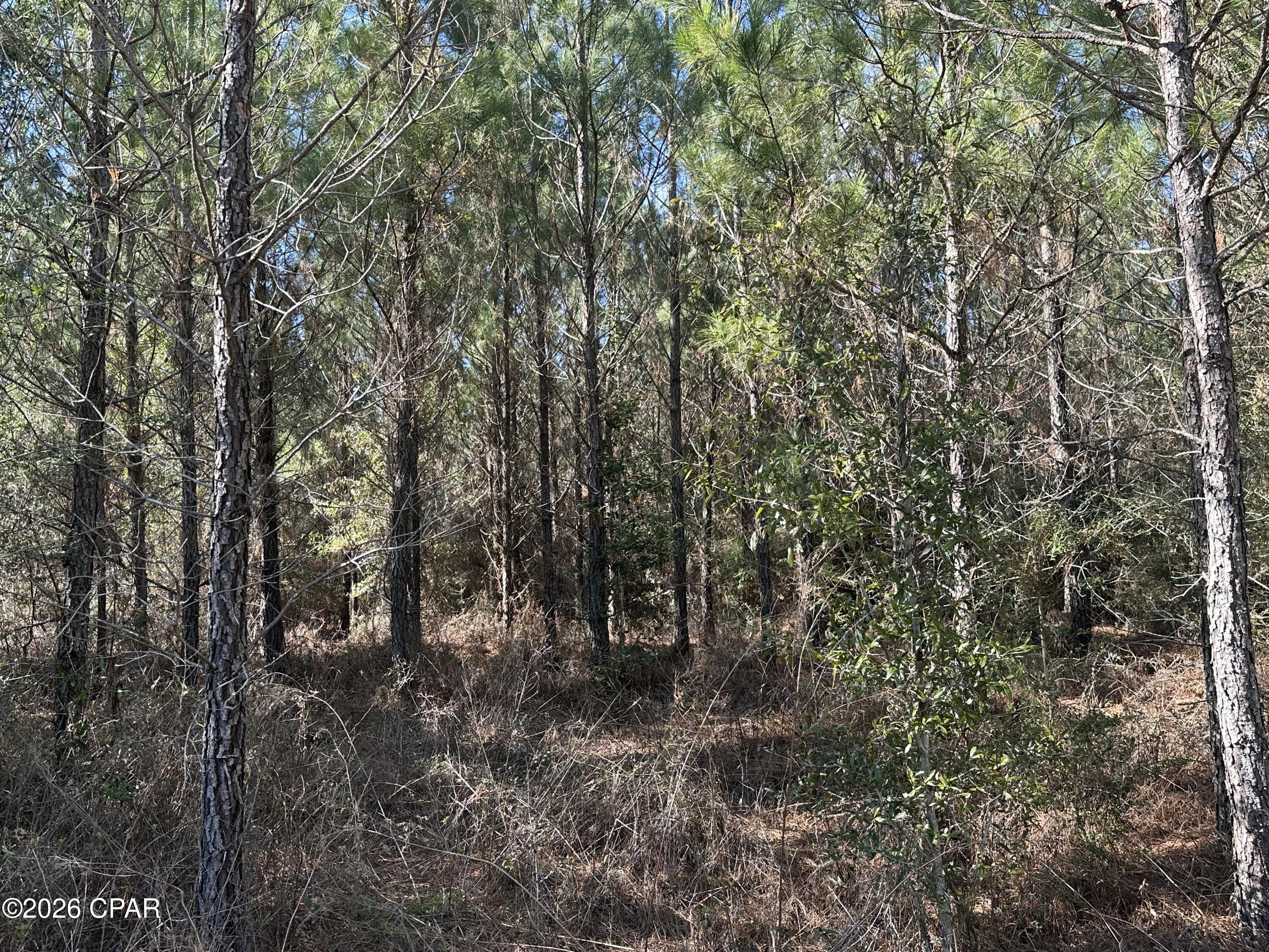 TRACT#6317 N Harris Stevenson Road Bonifay FL 32425