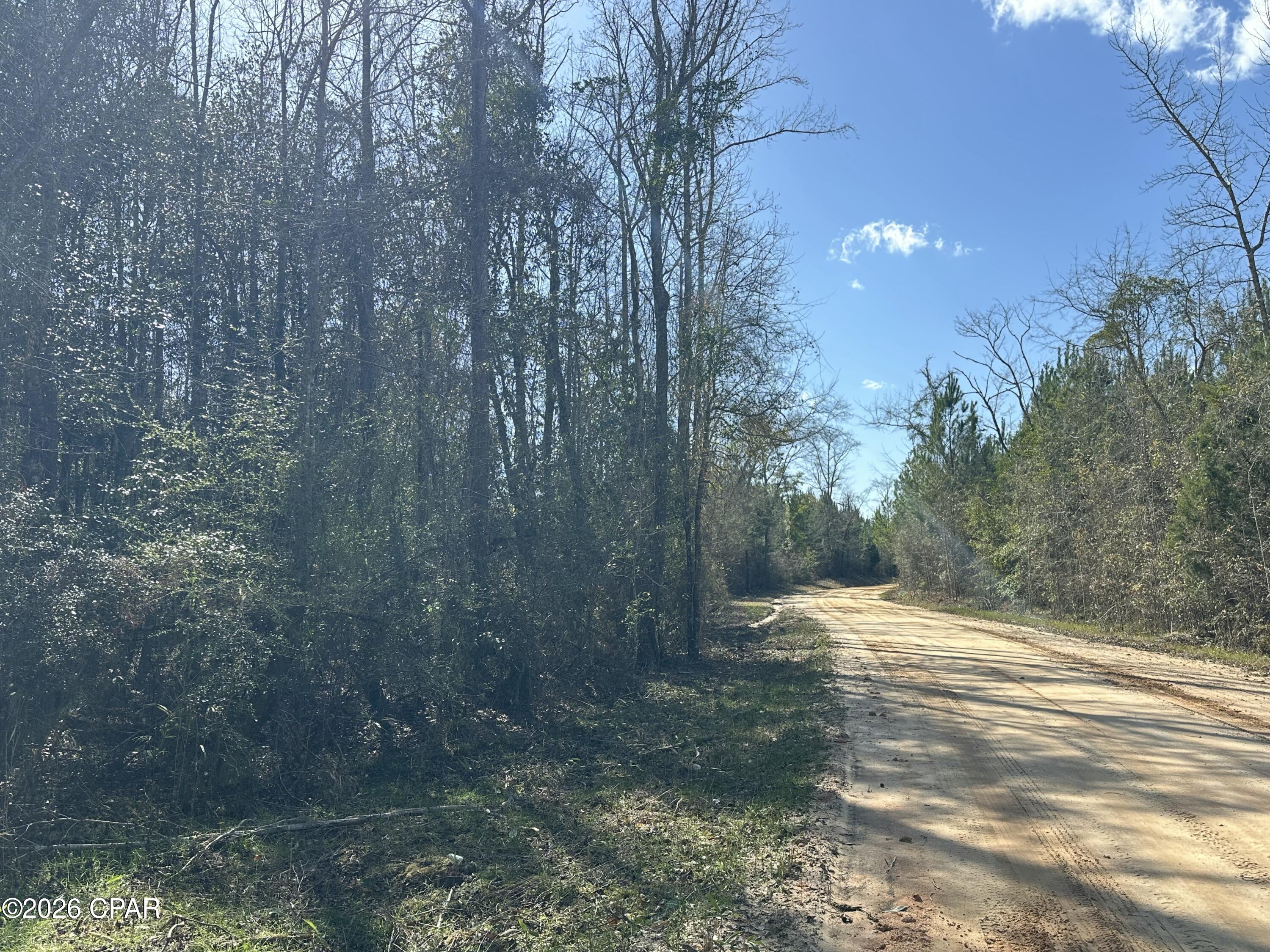 TRACT#6317 N Harris Stevenson Road Bonifay FL 32425