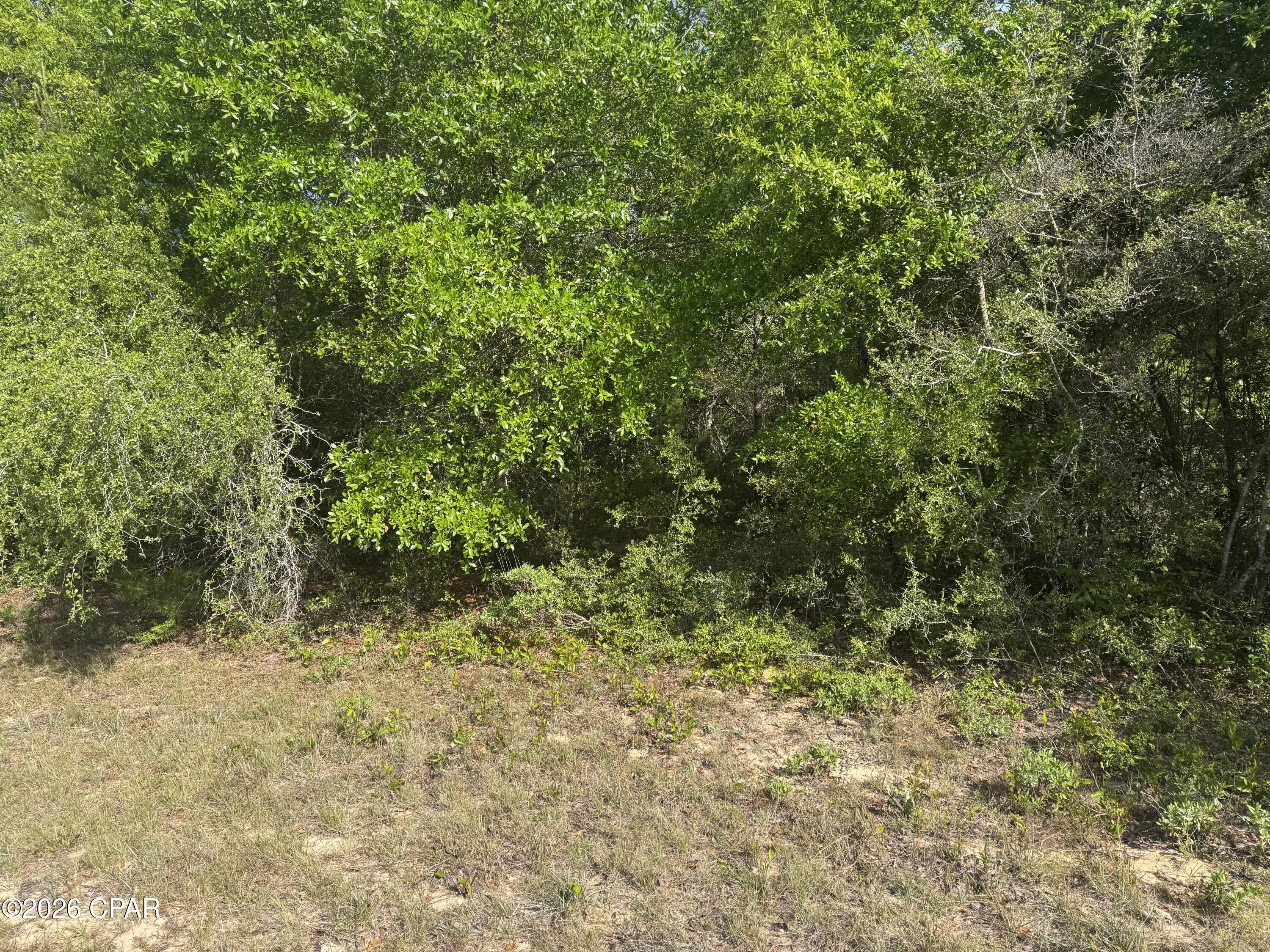 0000 Devonshire Drive Chipley FL 32428