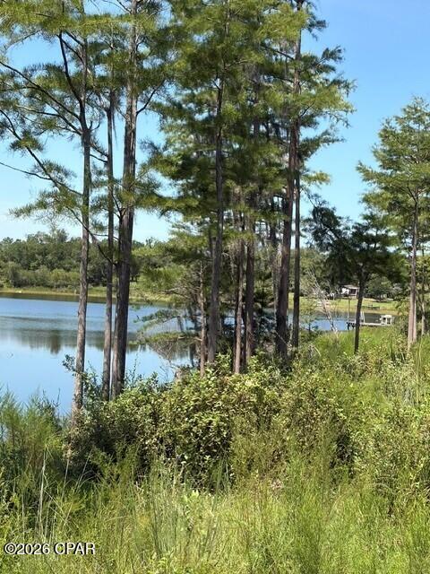 17837 Wood Duck Lane Fountain FL 32438