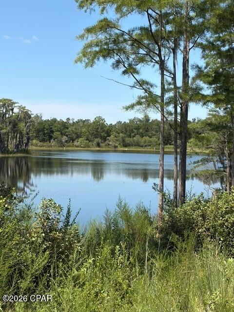 17837 Wood Duck Lane Fountain FL 32438