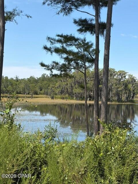 17837 Wood Duck Lane Fountain FL 32438