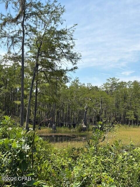 17837 Wood Duck Lane Fountain FL 32438