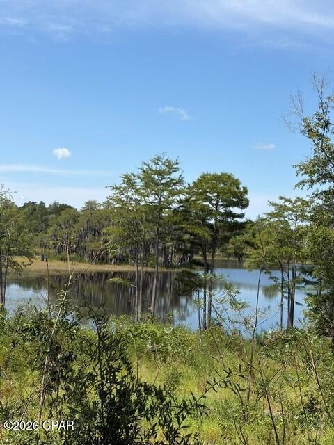 17837 Wood Duck Lane Fountain FL 32438