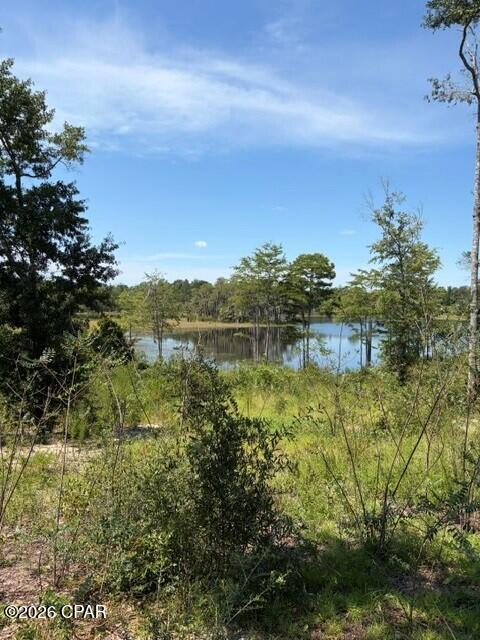 17837 Wood Duck Lane Fountain FL 32438