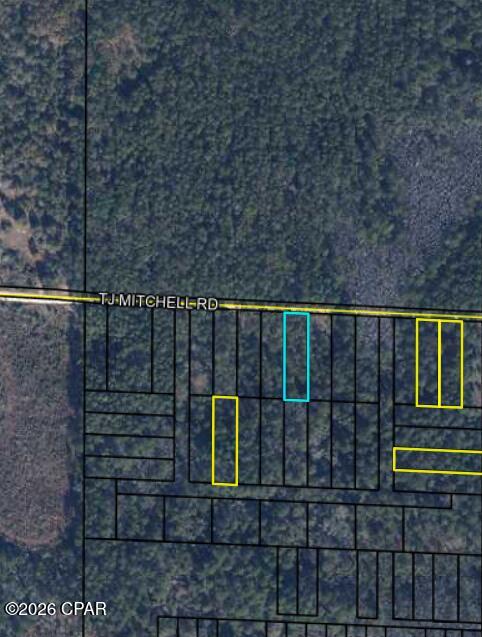 0 T J Mitchell Road Bonifay FL 32425