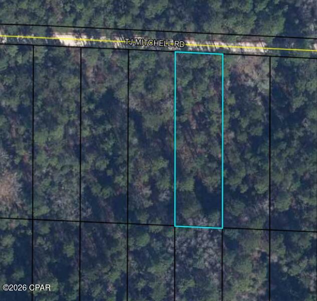 0 T J Mitchell Road Bonifay FL 32425