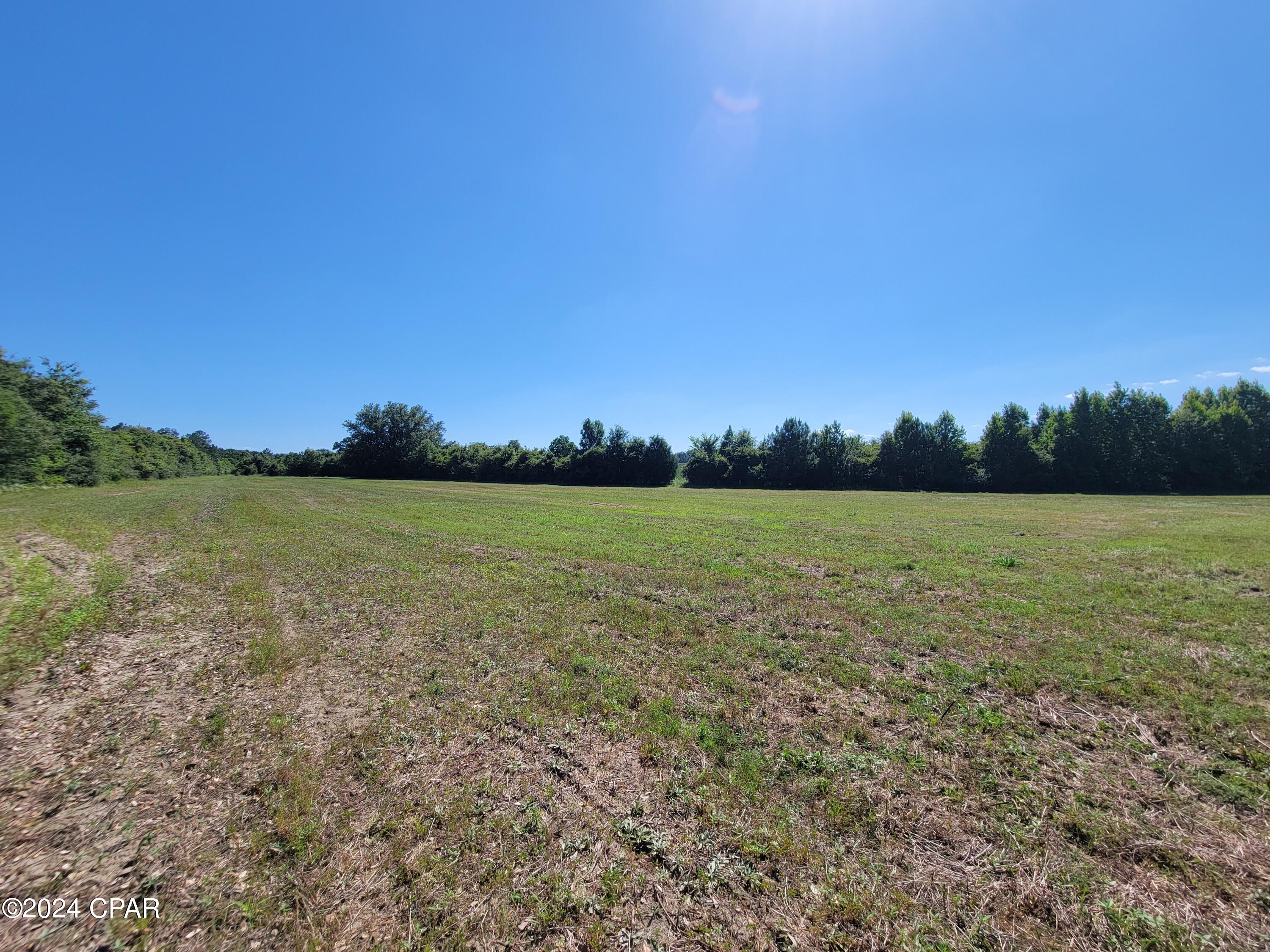 Lot 1 Bradley Road Westville FL 32464