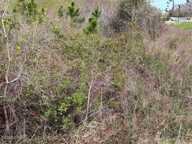 0 N 15th Mexico Beach FL 32456
