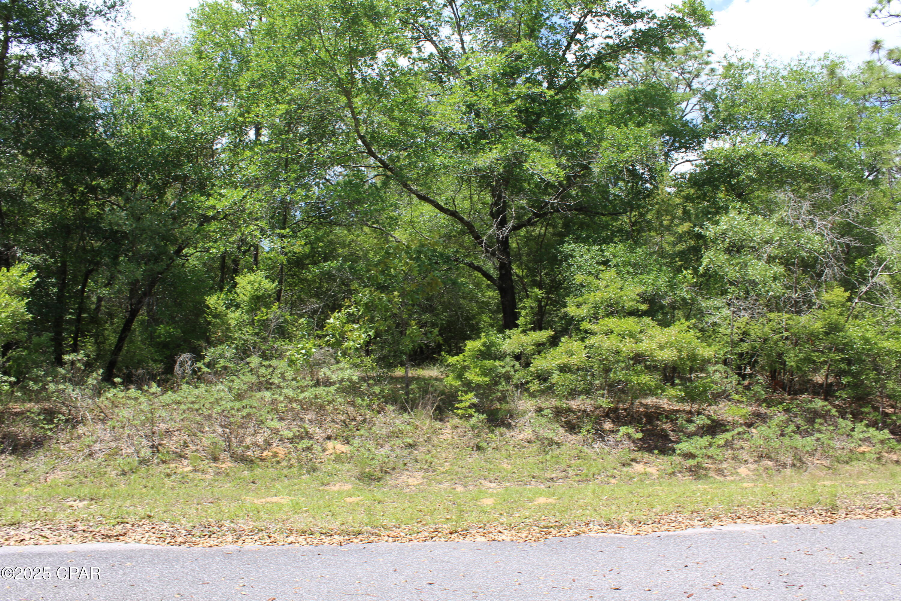 Lot 6 Arnone Lane Chipley FL 32428