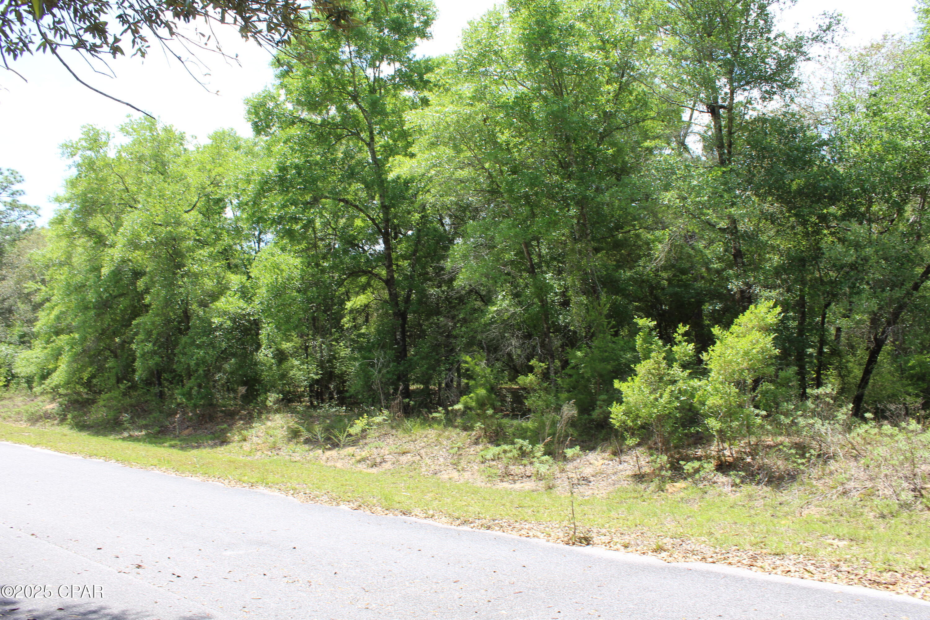Lot 6 Arnone Lane Chipley FL 32428