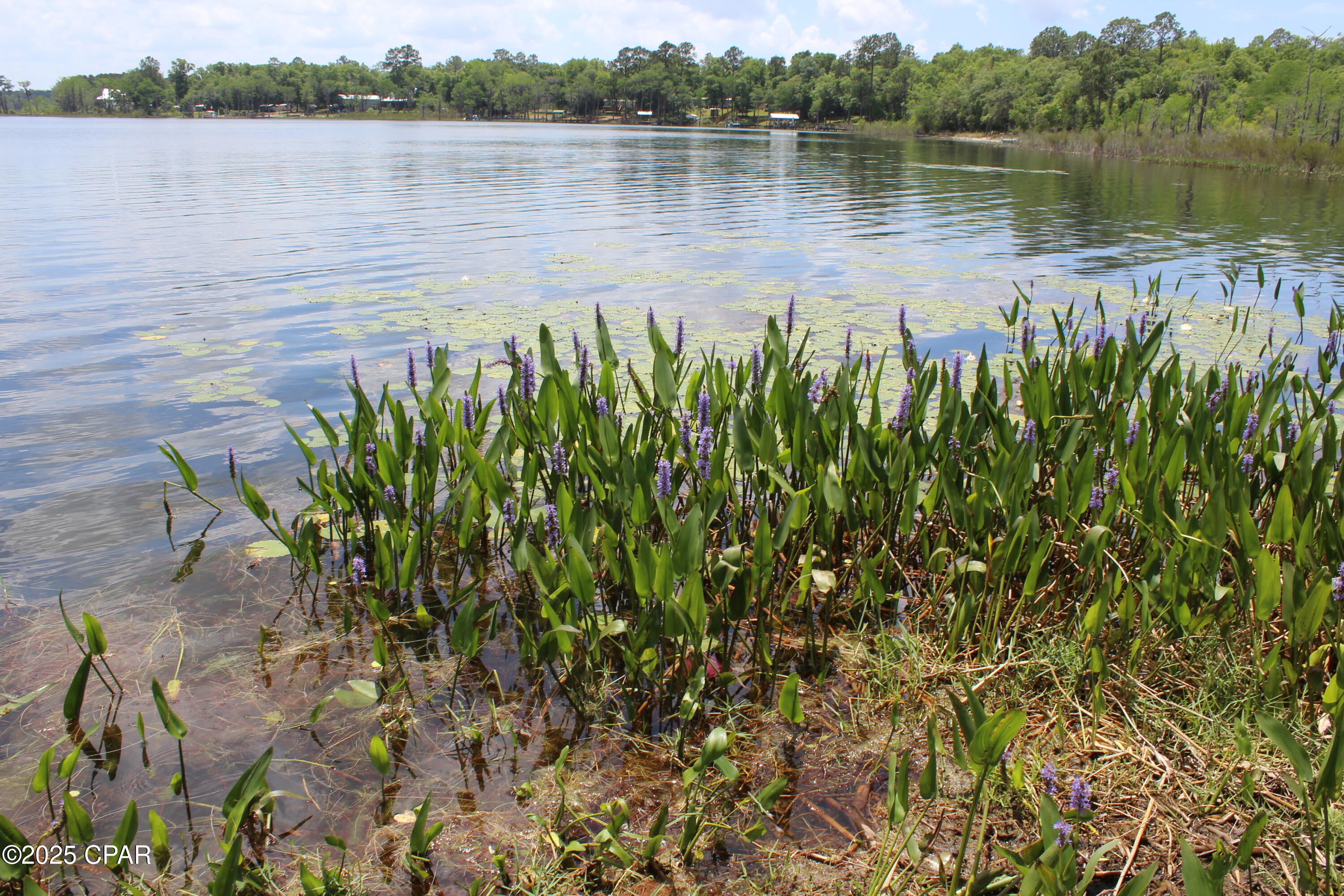 Lot 6 Arnone Lane Chipley FL 32428