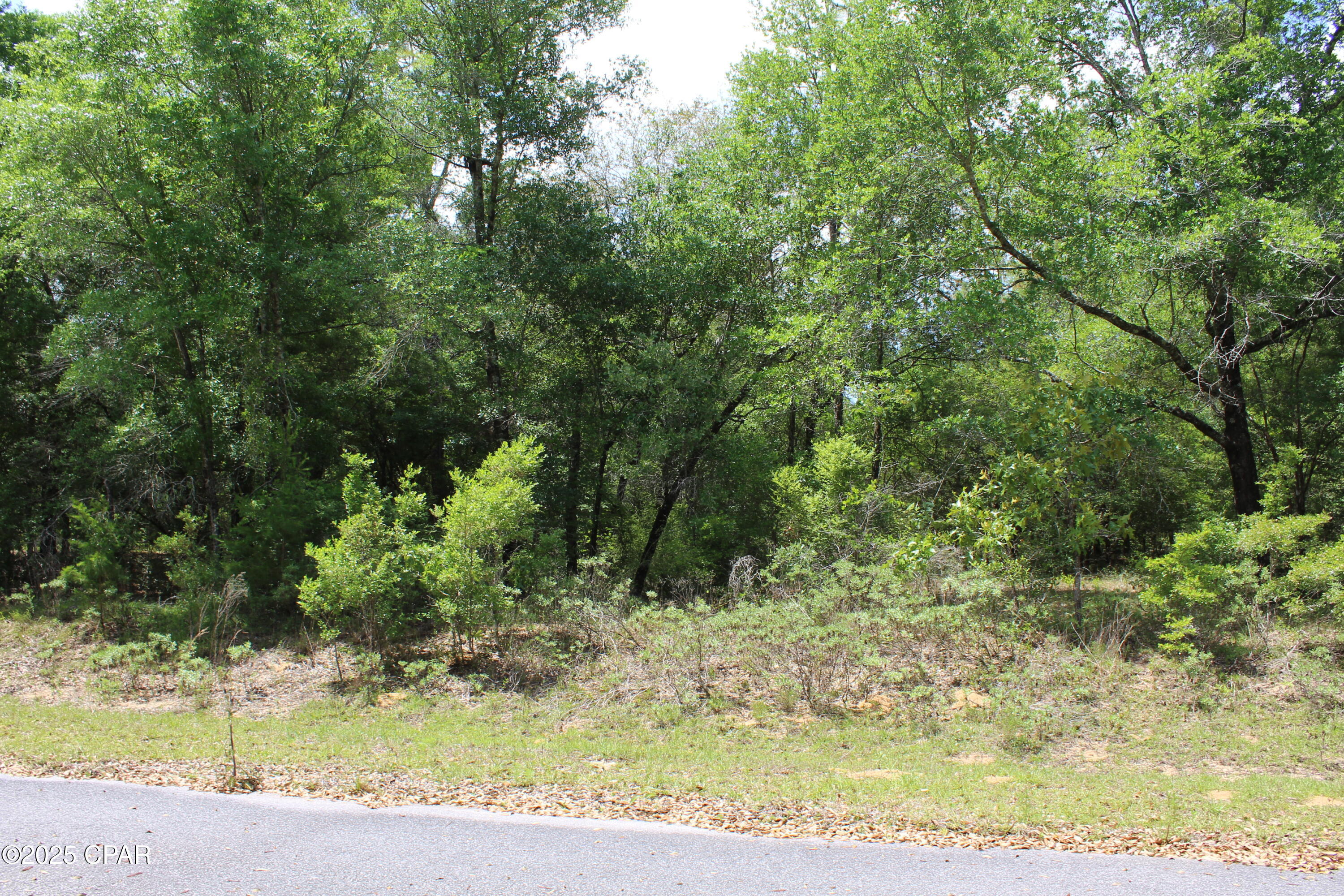 Lot 6 Arnone Lane Chipley FL 32428