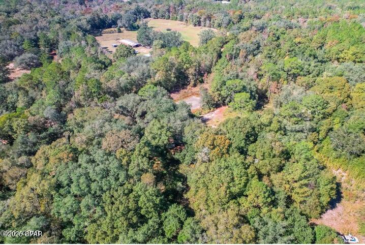 1873 Adolph Whitakeroad Bonifay FL 32425
