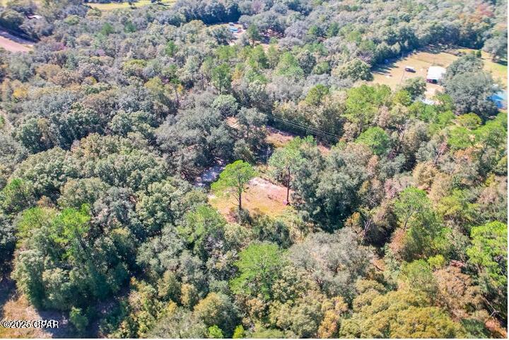 1873 Adolph Whitakeroad Bonifay FL 32425