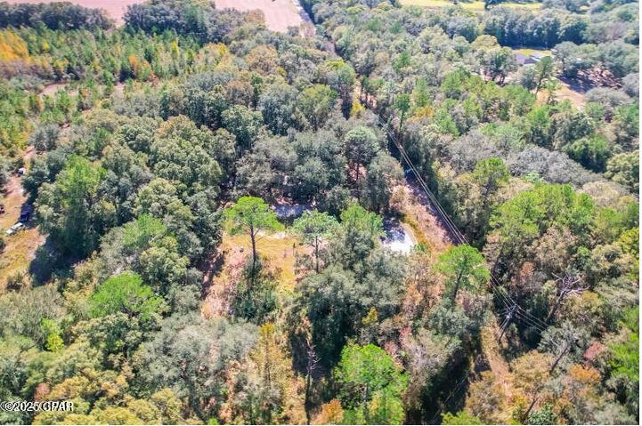 1873 Adolph Whitakeroad Bonifay FL 32425