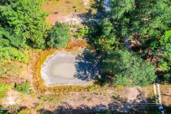1873 Adolph Whitakeroad Bonifay FL 32425