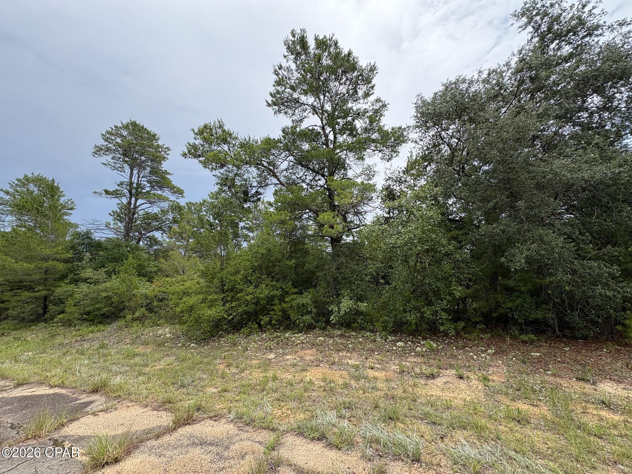 Lot 29 Colmart Drive Chipley FL 32428