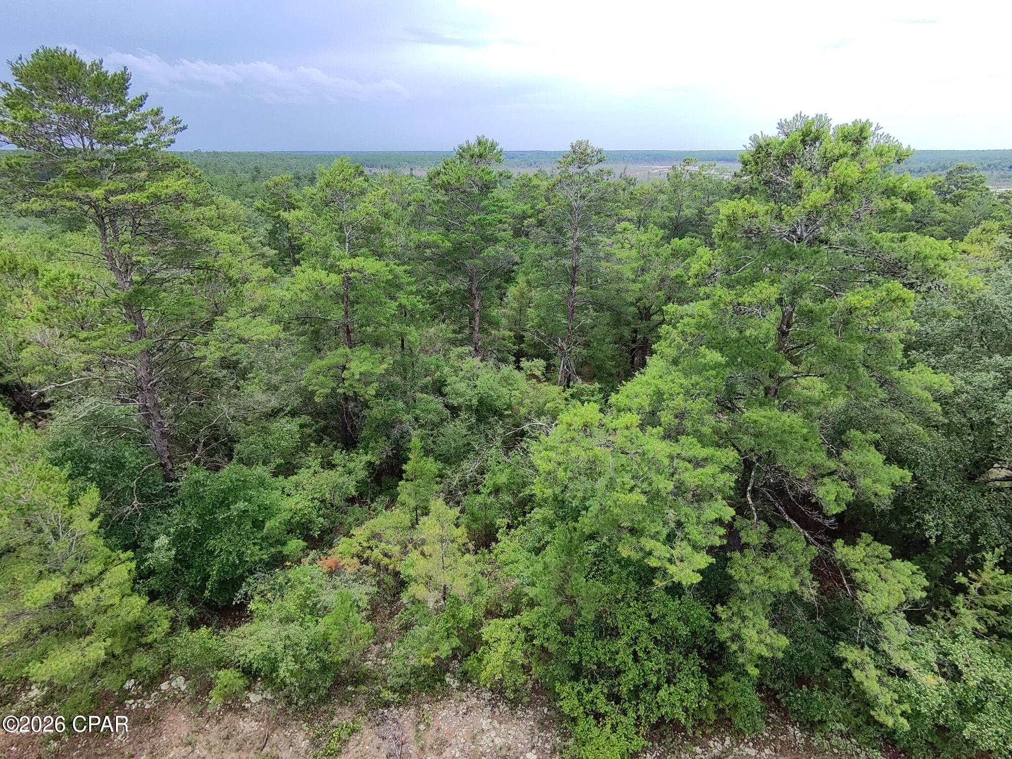 Lot 29 Colmart Drive Chipley FL 32428