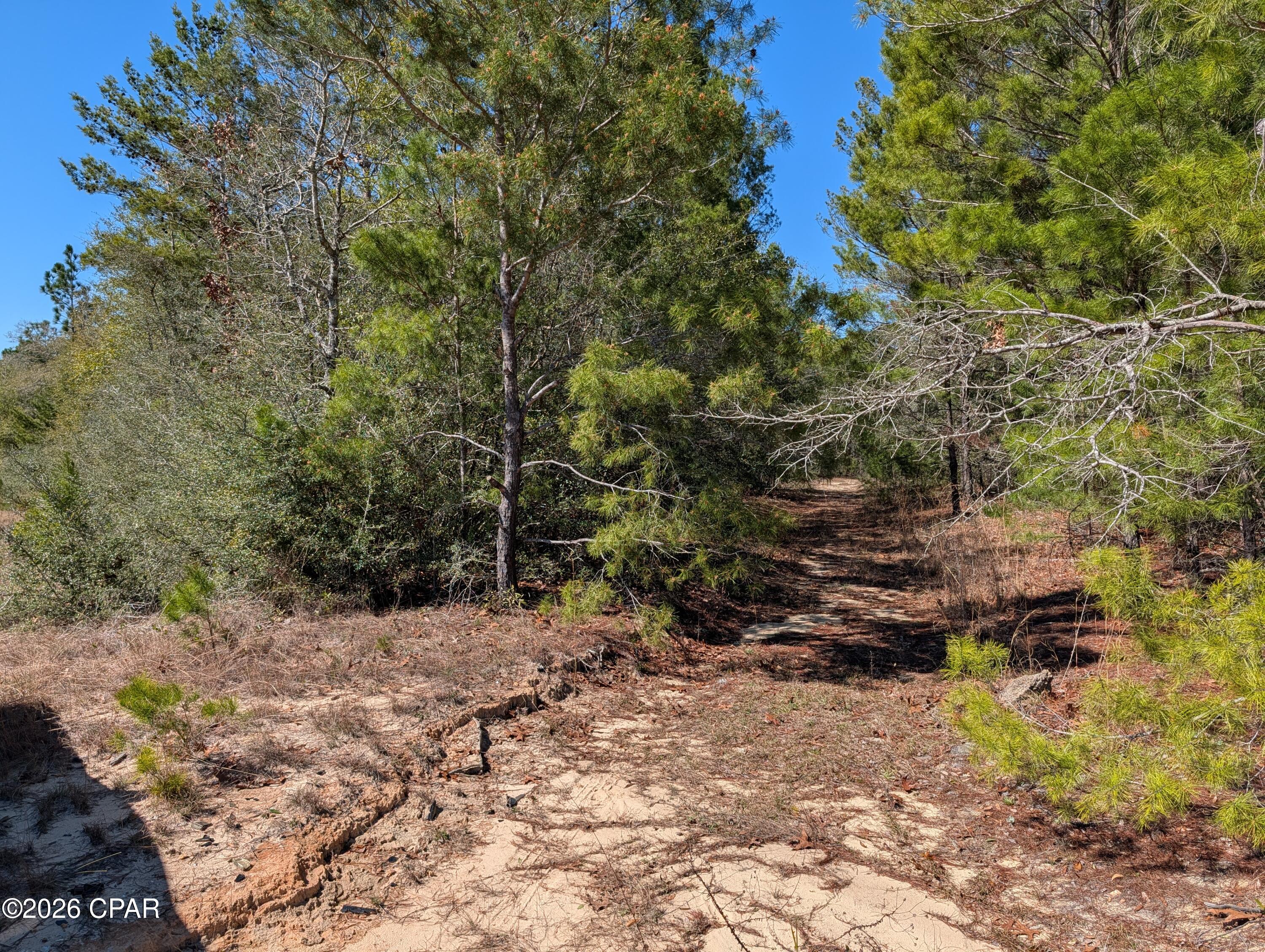 Tbd Willow Bendrive Defuniak Springs FL 32433