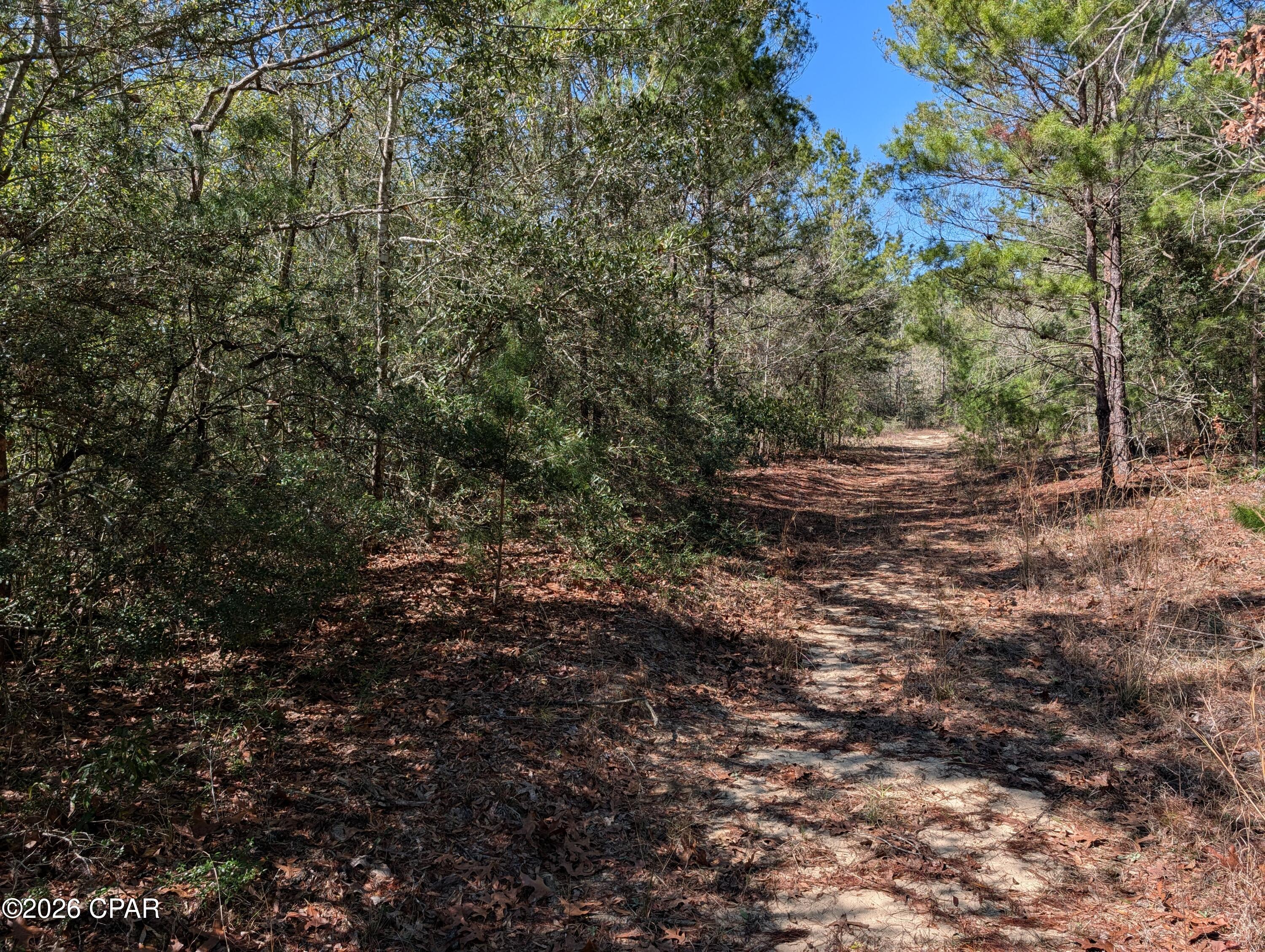 Tbd Willow Bendrive Defuniak Springs FL 32433