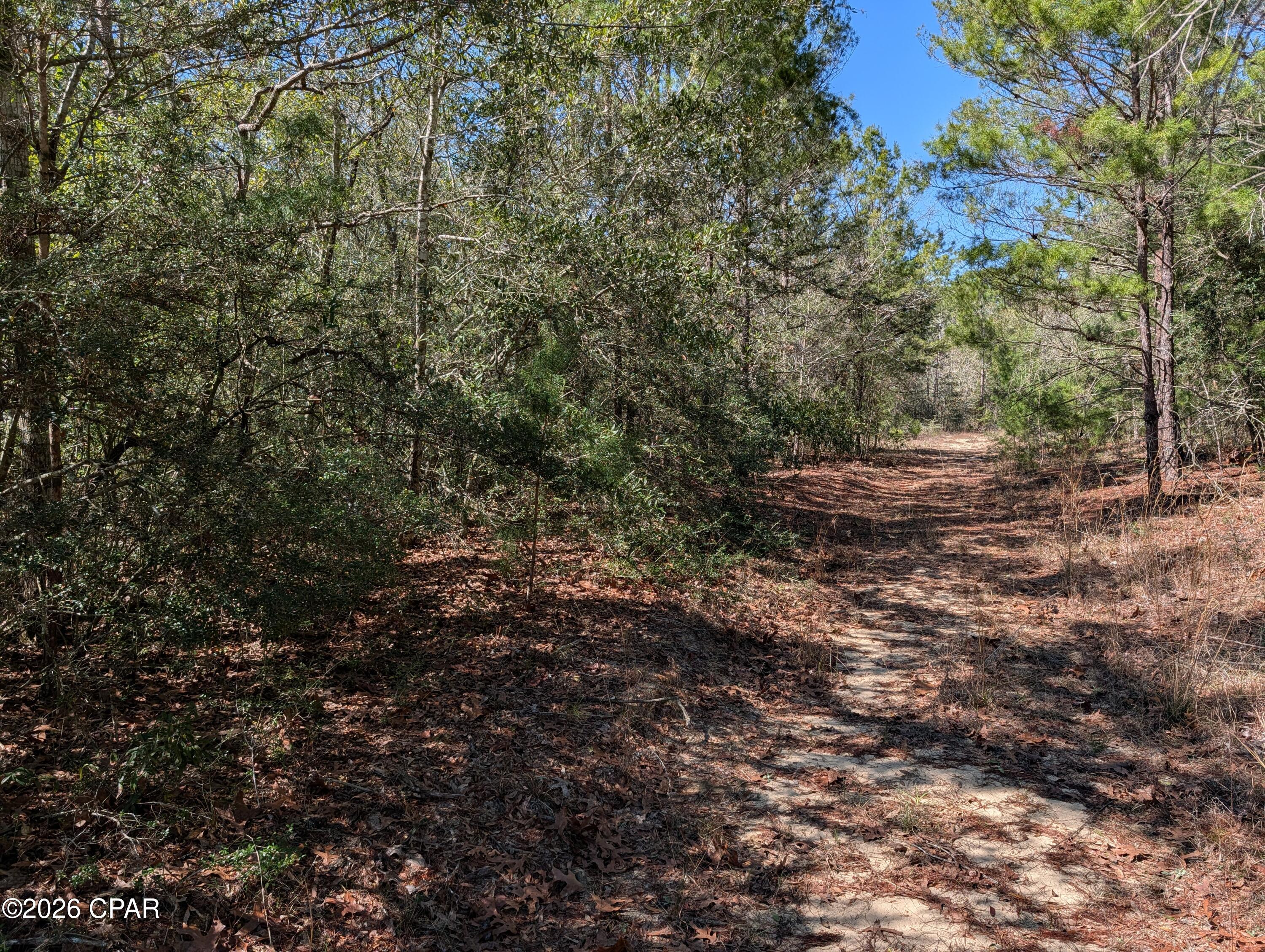 Tbd Willow Bendrive Defuniak Springs FL 32433