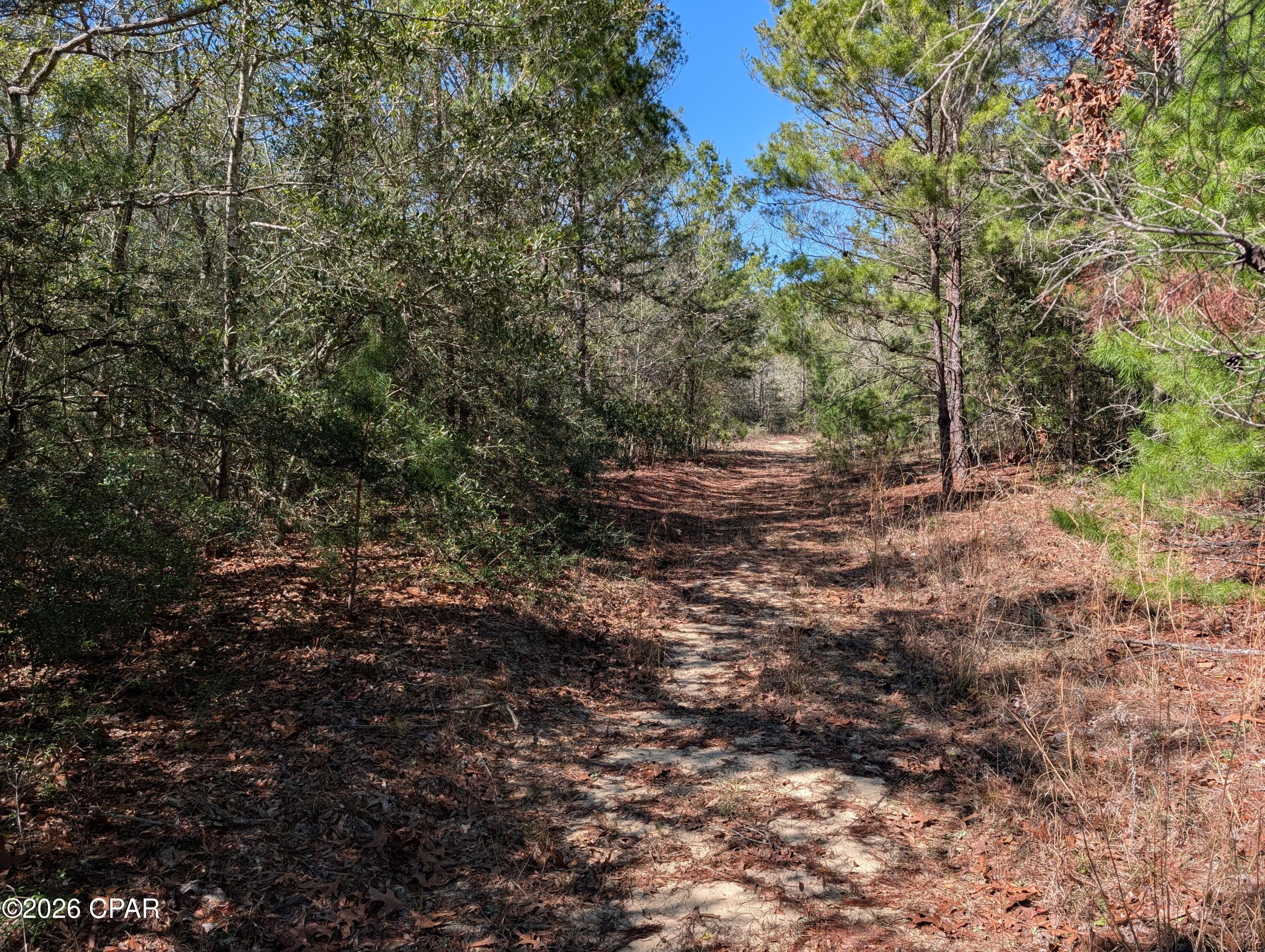 Tbd Willow Bendrive Defuniak Springs FL 32433