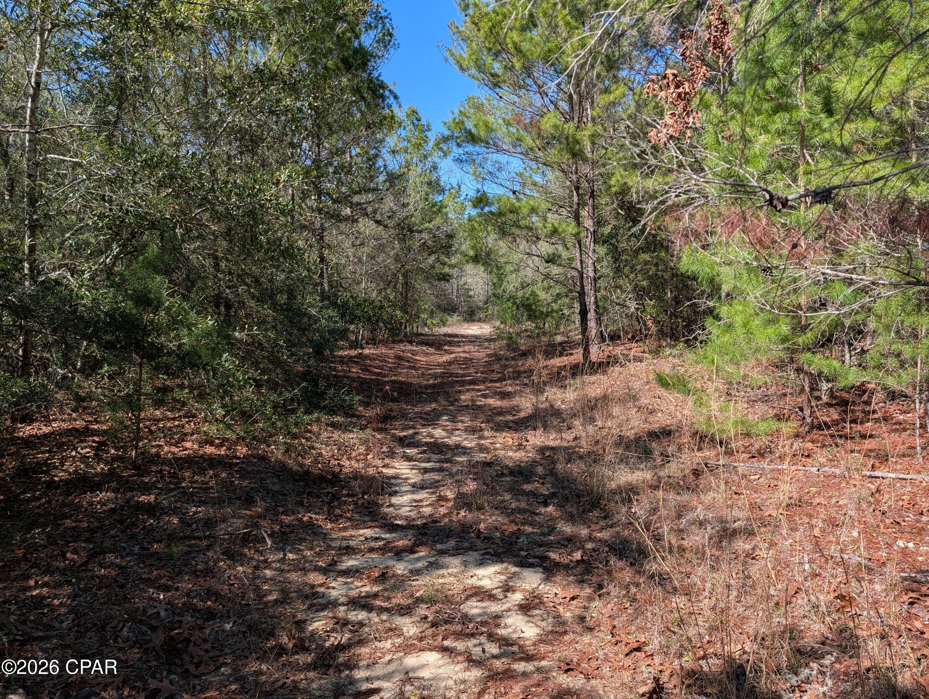Tbd Willow Bendrive Defuniak Springs FL 32433