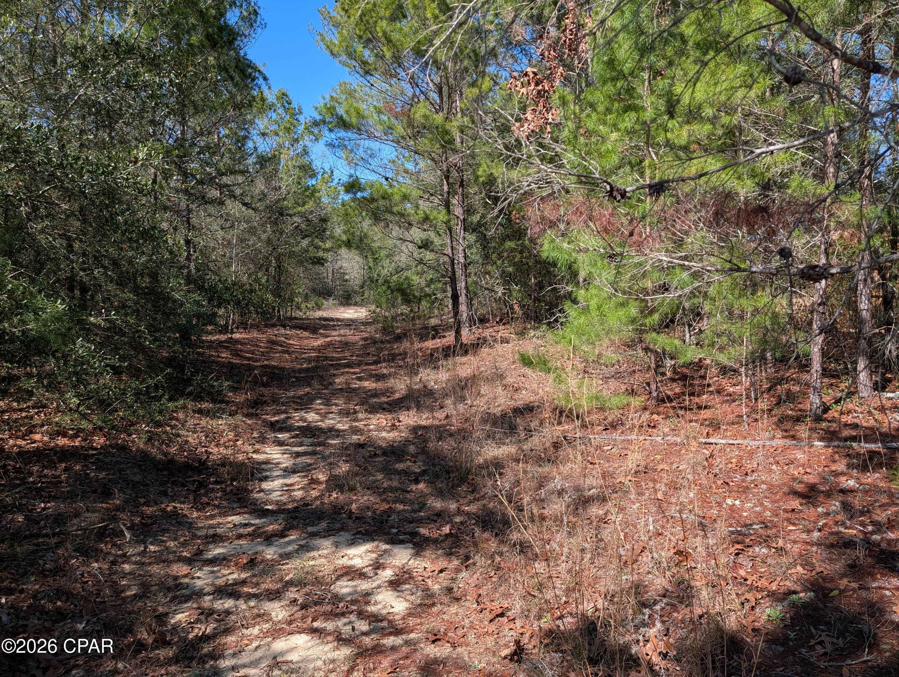 Tbd Willow Bendrive Defuniak Springs FL 32433
