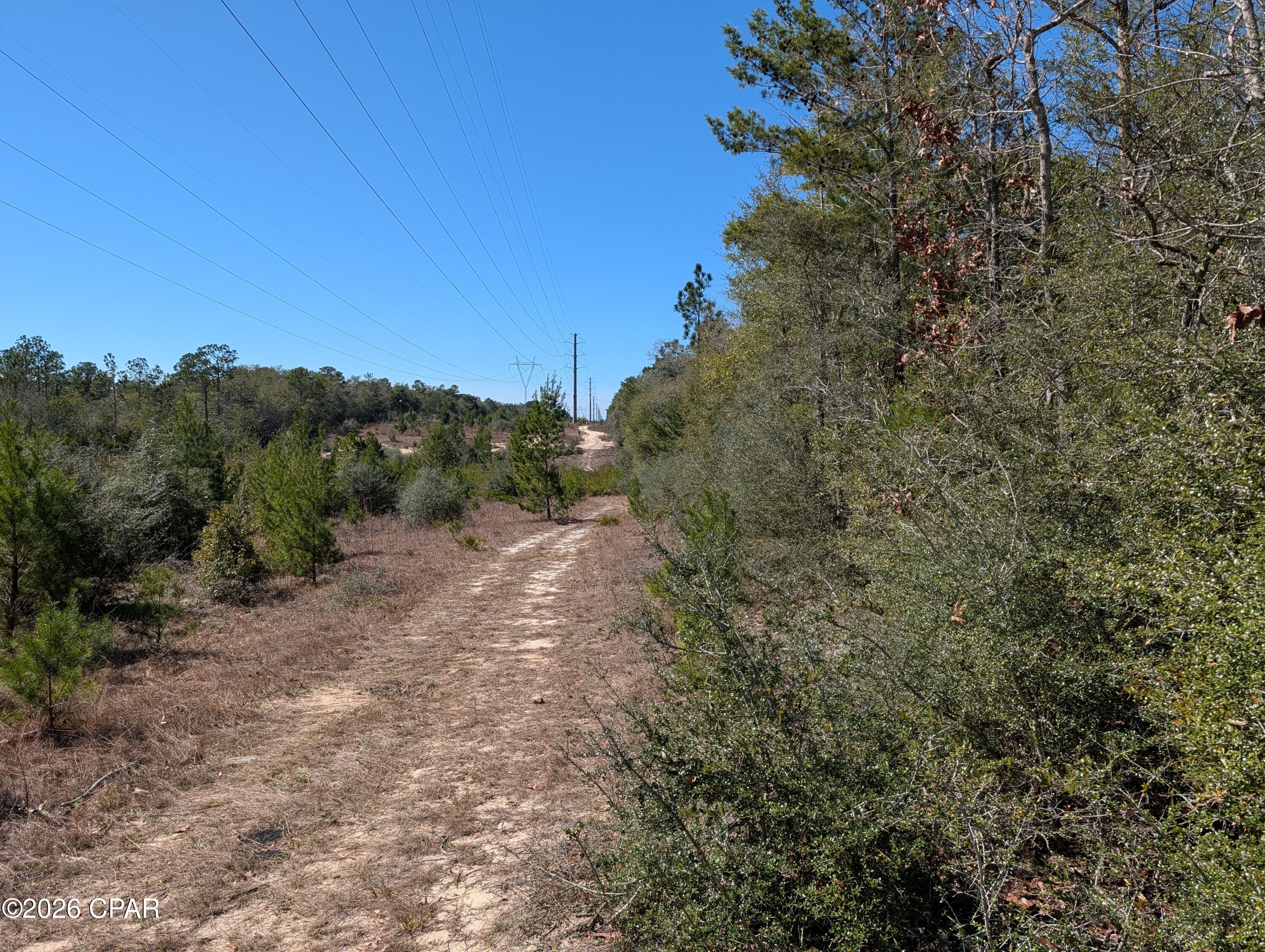 Tbd Willow Bendrive Defuniak Springs FL 32433