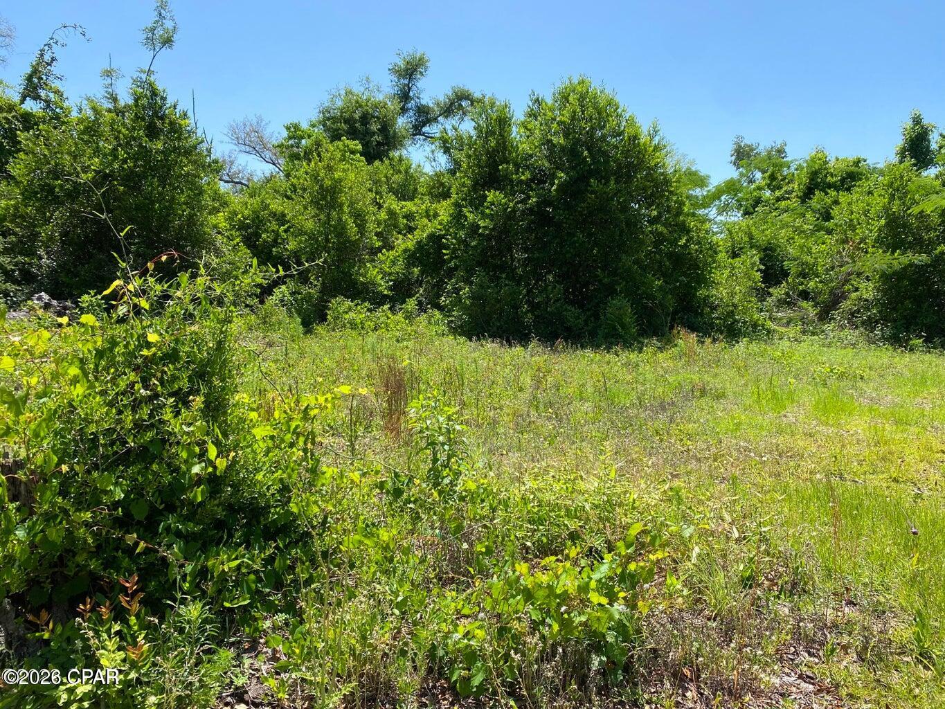 9523 Indian Bluff Resort Lane Youngstown FL 32466
