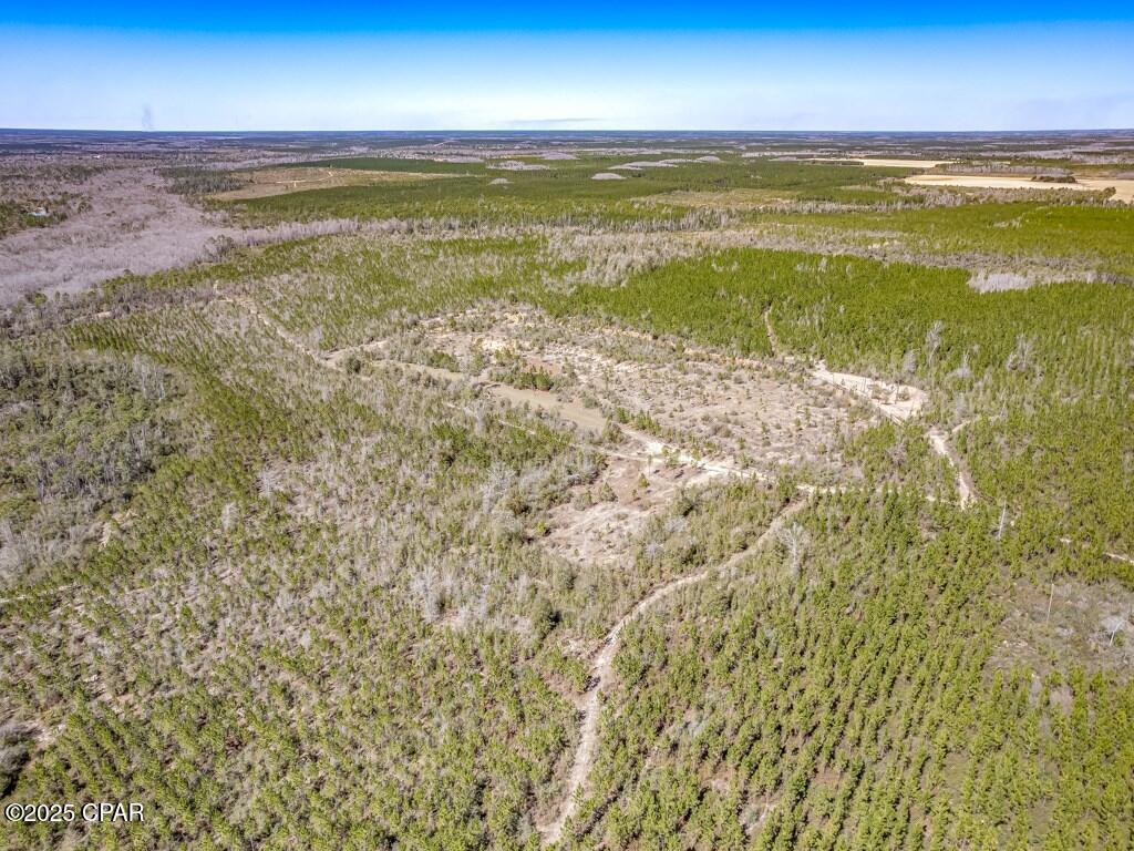 0 S Sr 71 Wewahitchka FL 32449