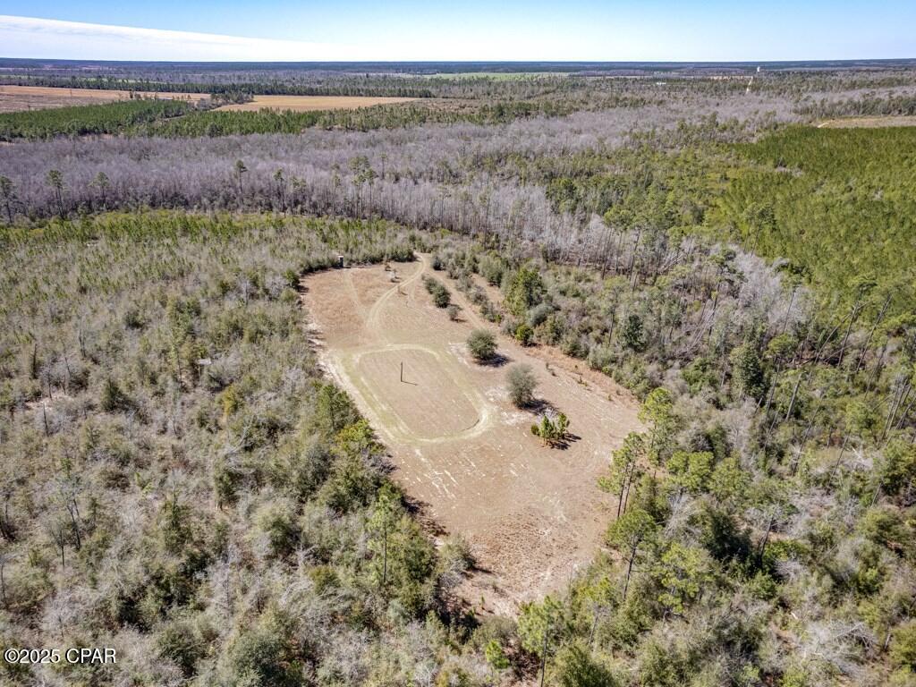 0 S Sr 71 Wewahitchka FL 32449