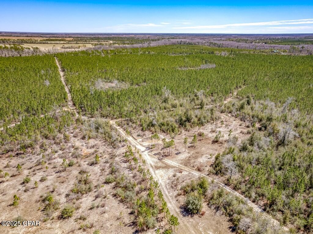 0 S Sr 71 Wewahitchka FL 32449