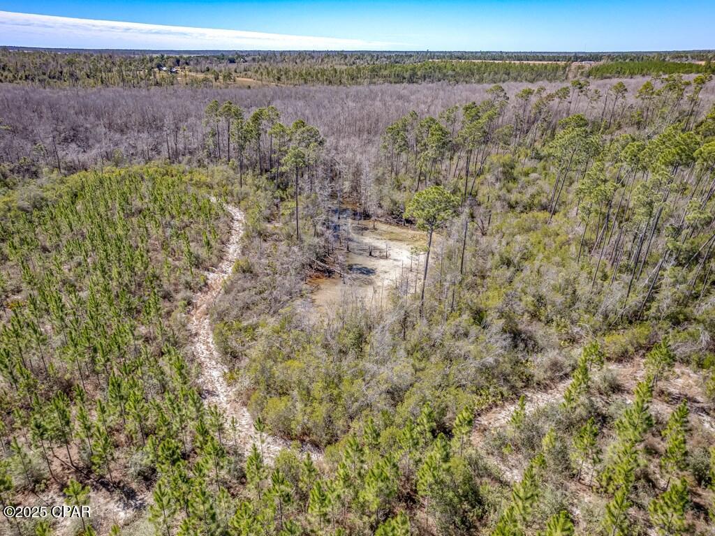 0 S Sr 71 Wewahitchka FL 32449