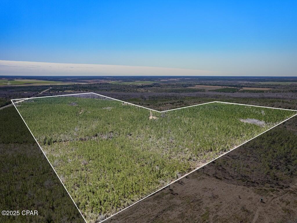 0 S Sr 71 Wewahitchka FL 32449